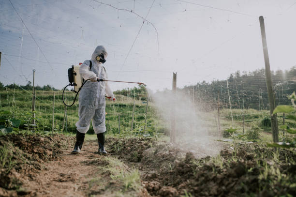Best Ant Control Services  in Kemmerer, WY