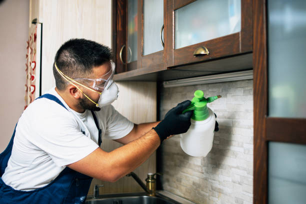 Best Pest Prevention Services  in Kemmerer, WY
