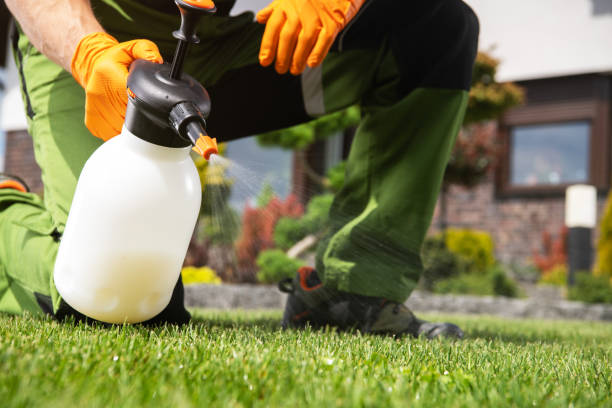 Best Pest Removal Services  in Kemmerer, WY