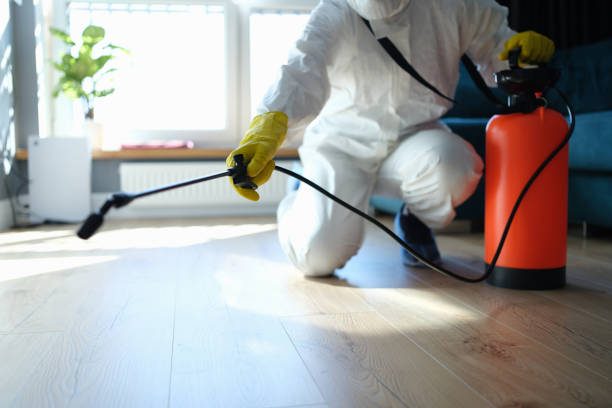 Best Wasp Removal Services  in Kemmerer, WY
