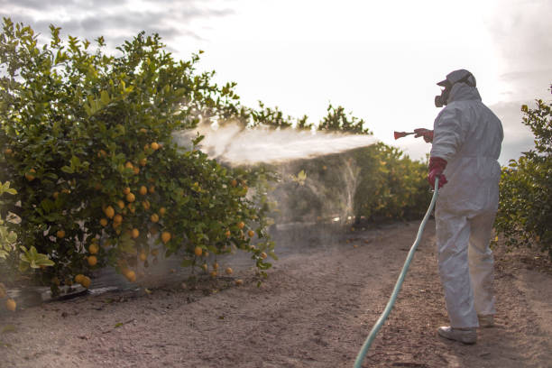 Best Mosquito Control Services  in Kemmerer, WY