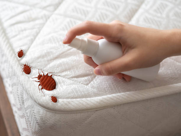 Best Pest Control Near Me  in Kemmerer, WY