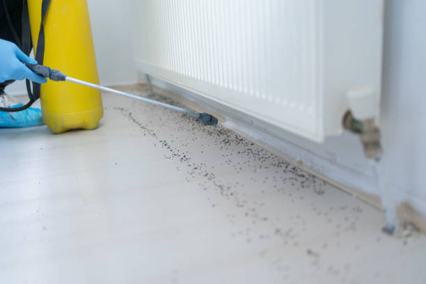 Best Best Pest Control Companies  in Kemmerer, WY